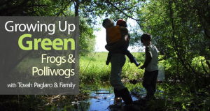 Frogs and Polliwogs at Growing Up Green